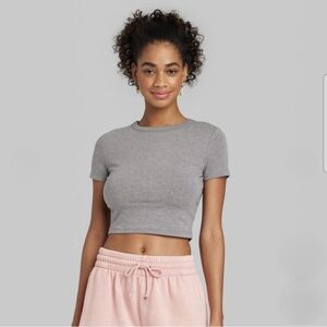 Wild Fable Gray Fitted Crop T-Shirt - XXS